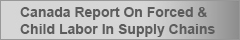 BBI Canada Annual Report On Forced And Child Labor In Supply Chains